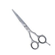 Tijera profesionales de corte 5,5" evolute line Eurostil